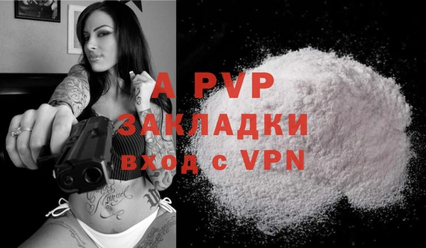 тгк Коряжма