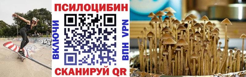 Купить где  Дагестанские Огни  Галлюциногенные грибы Psilocybine cubensis 